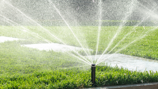 Gras-bodemvochtigheid